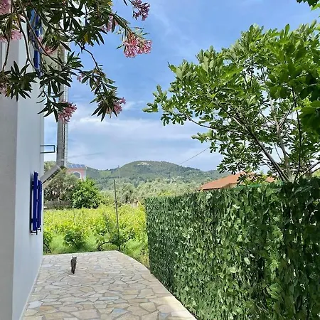 The Vineyard Lefkas Lejlighed