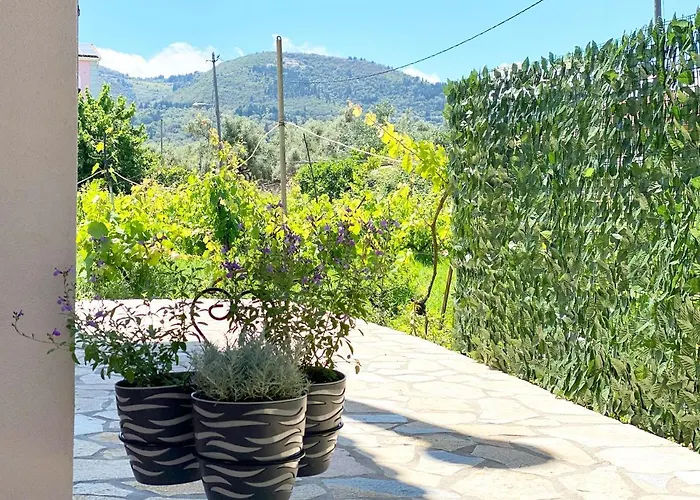 The Vineyard Lefkas