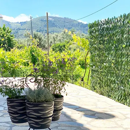 The Vineyard Lefkas
