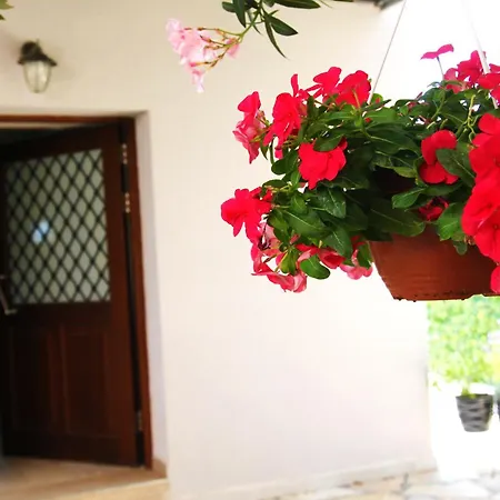 The Vineyard Lefkas Апартаменты Лигия