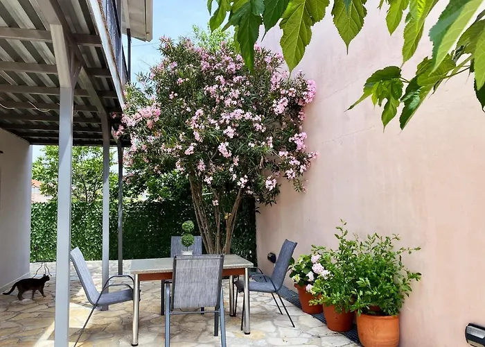 The Vineyard Lefkas * Lygia (Lefkada)