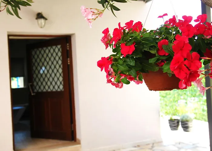 The Vineyard Lefkas Daire Lygia (Lefkada)